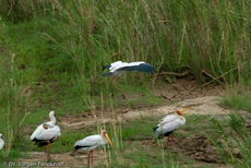 Nimmersatt (17 von 22).jpg